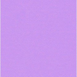 Serviette en Papier Unie Parme