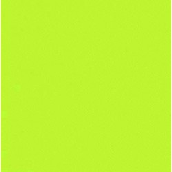 Serviette en Papier Unie Vert Kiwi