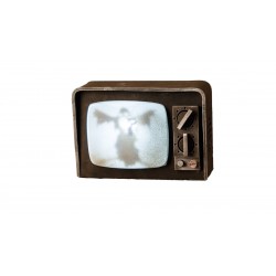 Télévision Cassée Vintage Son et Lumière