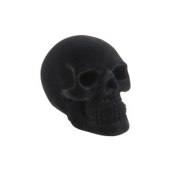 Crâne en Résine Floqué Velours Noir 15cm