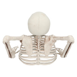 Demi Squelette Sortant de Terre 20x25cm