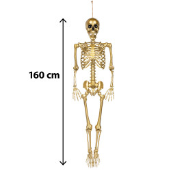 Squelette à Suspendre Doré 160cm