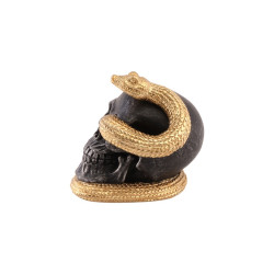 Crâne en Résine Noir Avec Serpent Doré