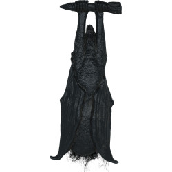Chauve Souris Noir à Suspendre 50cm