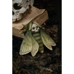 Papillons Tête De Mort En Résine Modèle Assortis 14cm