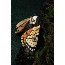 Papillons Tête De Mort En Résine Modèle Assortis 14cm