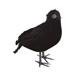 Corbeau Noir 17cm