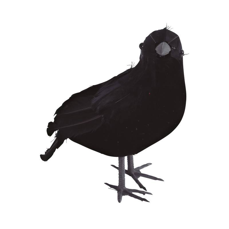 Corbeau Noir 17cm