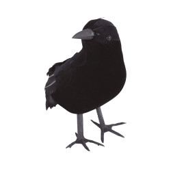 Corbeau Noir 17cm