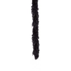 Boa Plumes Noires