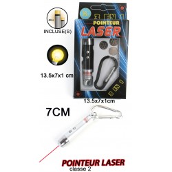 Pointeur Laser avec Lampe et Mousqueton 