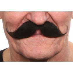 Moustache Guillaume Noir