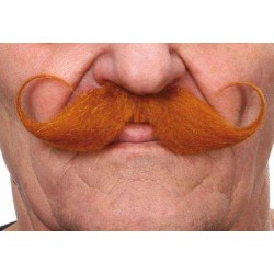 Moustache Guillaume Roux