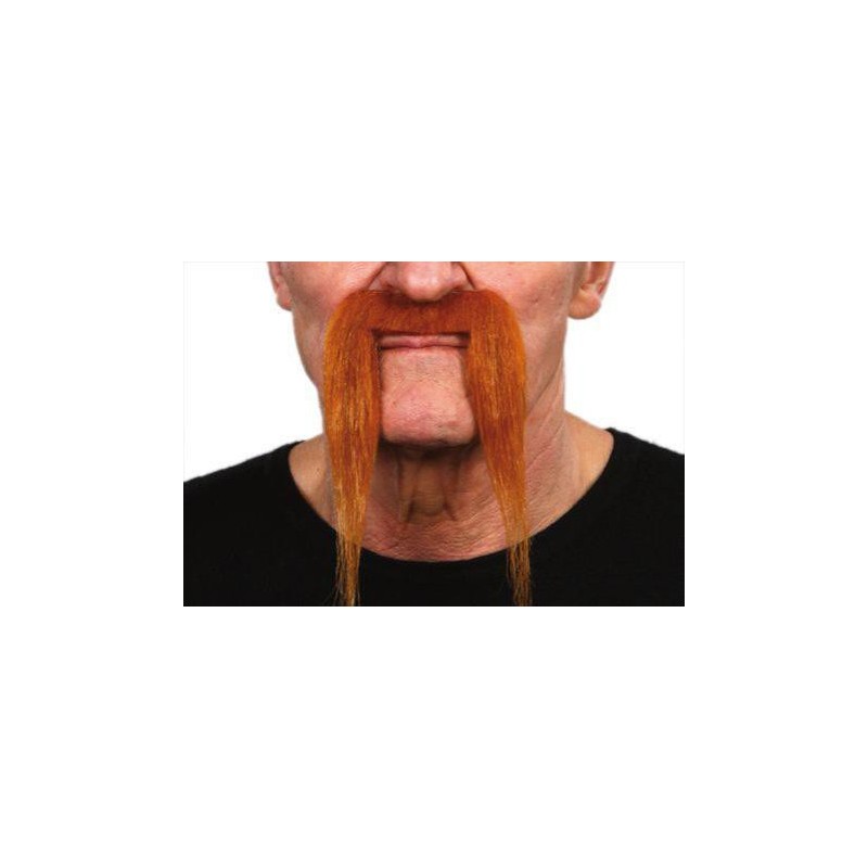 Moustache de Pirate Roux