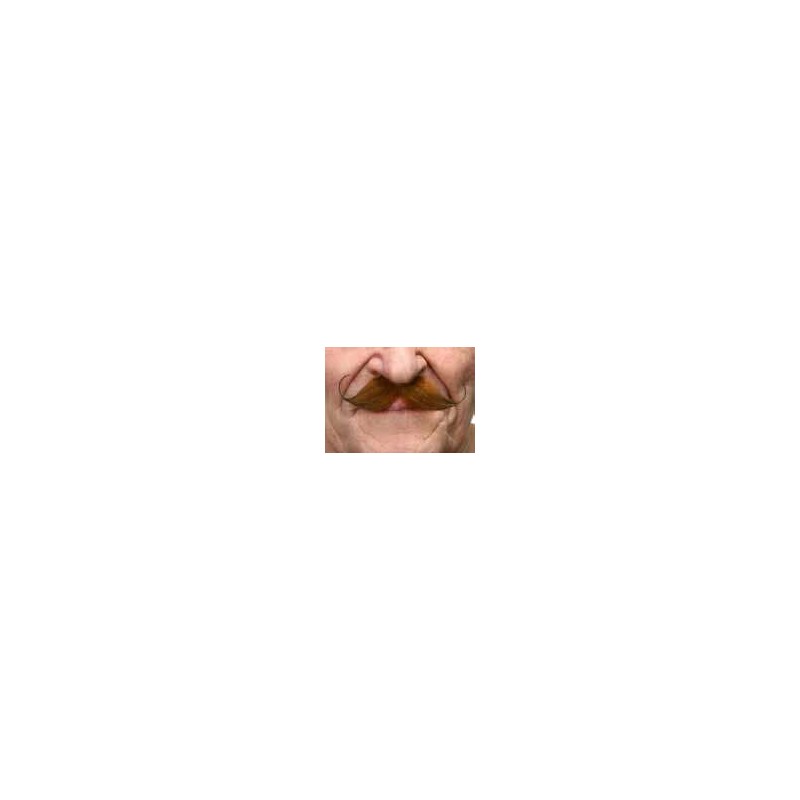 Moustache Dandy Roux