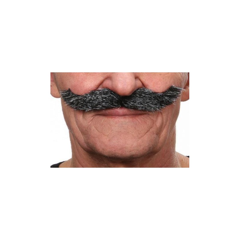 Moustache Hongroise Poivre et Sel